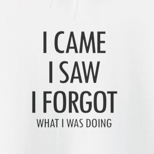 Hoodie I Came I Saw I Forgot Hoodie – Funny ADHD Gift Hoodie