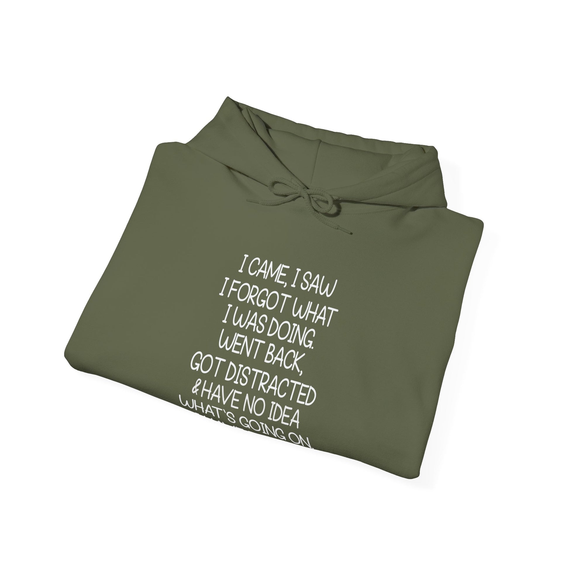 Hoodie I CAME I SAW I FORGOT Hoodie – Funny ADHD Hoodie for Adults