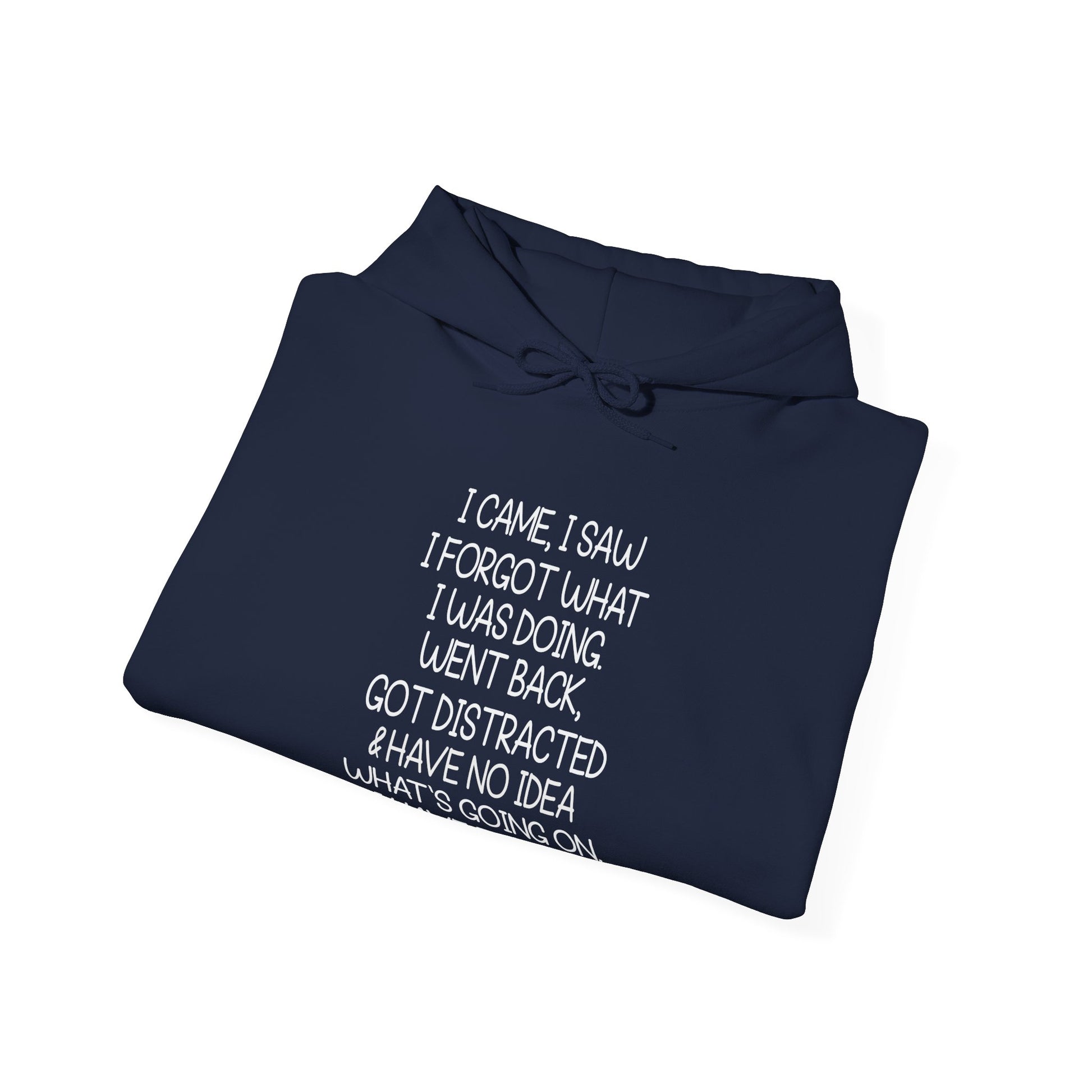 Hoodie I CAME I SAW I FORGOT Hoodie – Funny ADHD Hoodie for Adults