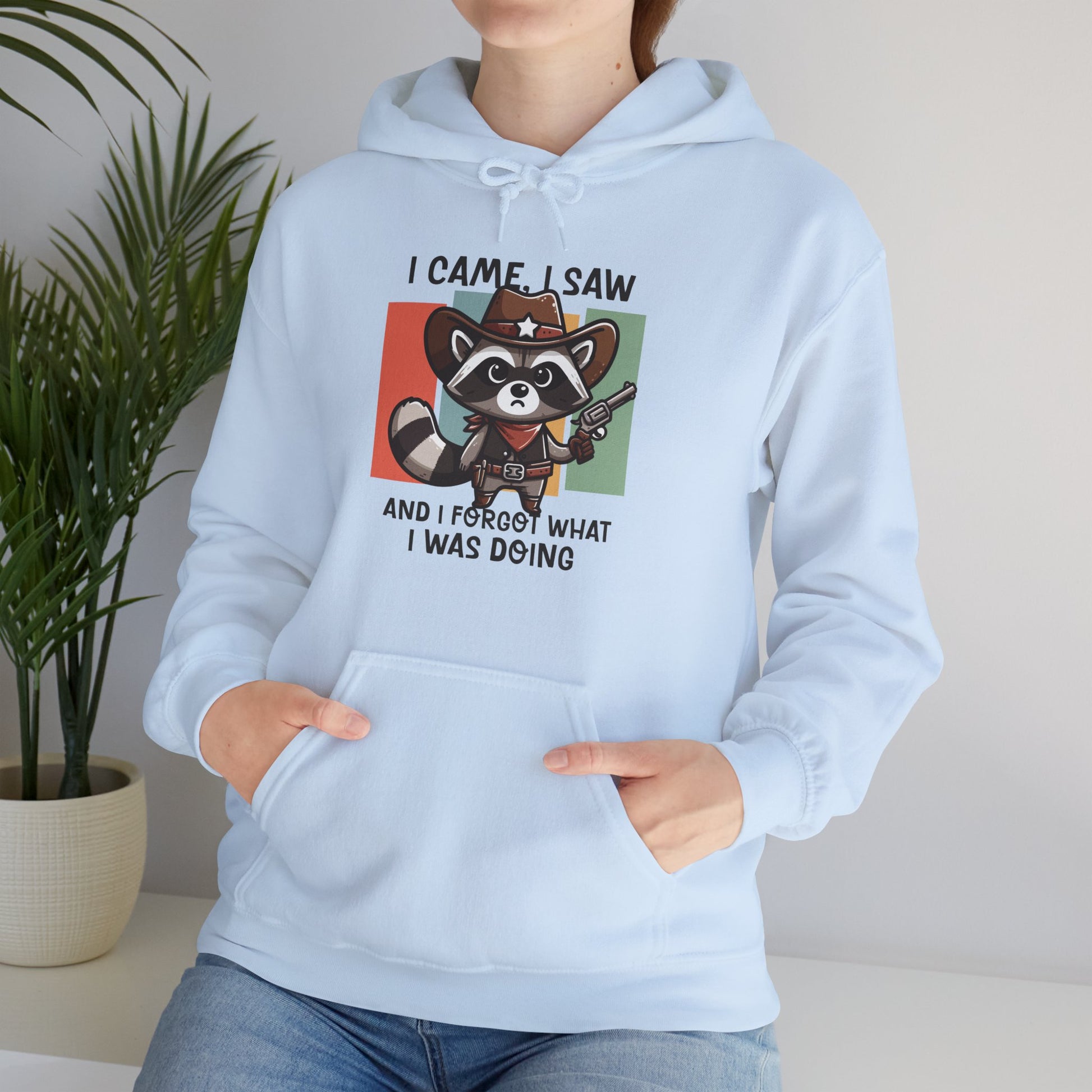 Hoodie I Came I Saw And I Forgot Hoodie – Funny ADHD Raccoon Hoodie