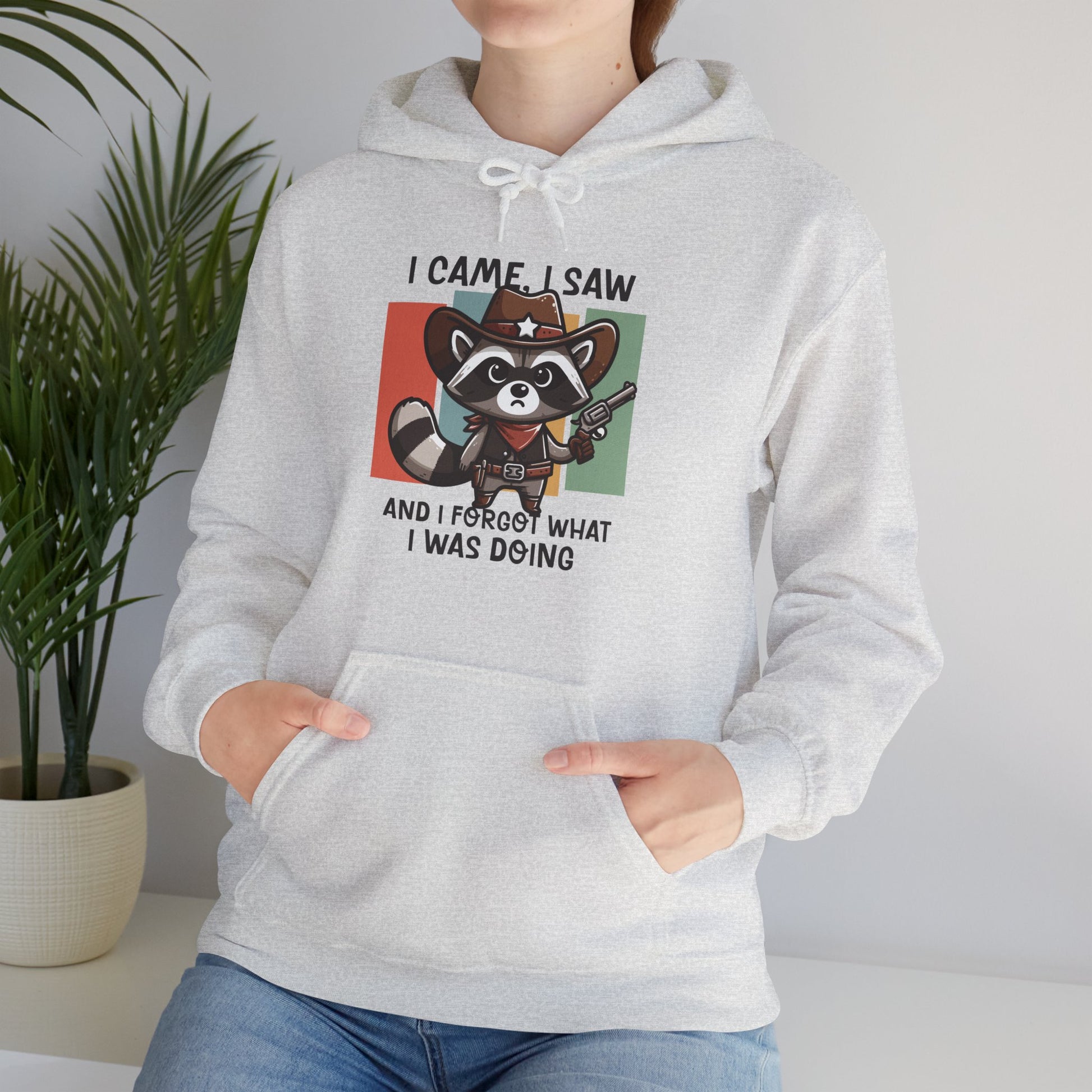 Hoodie I Came I Saw And I Forgot Hoodie – Funny ADHD Raccoon Hoodie