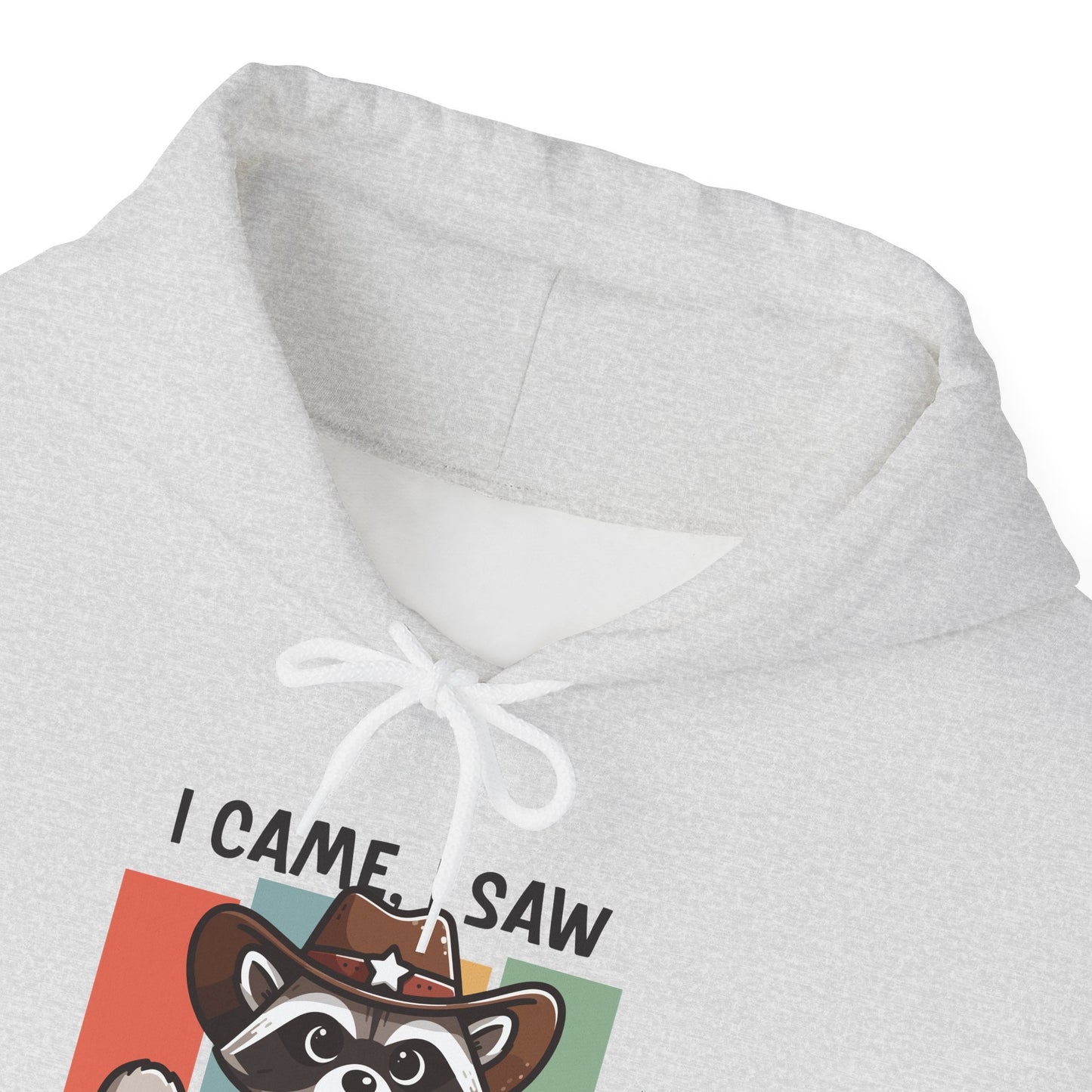 Hoodie I Came I Saw And I Forgot Hoodie – Funny ADHD Raccoon Hoodie