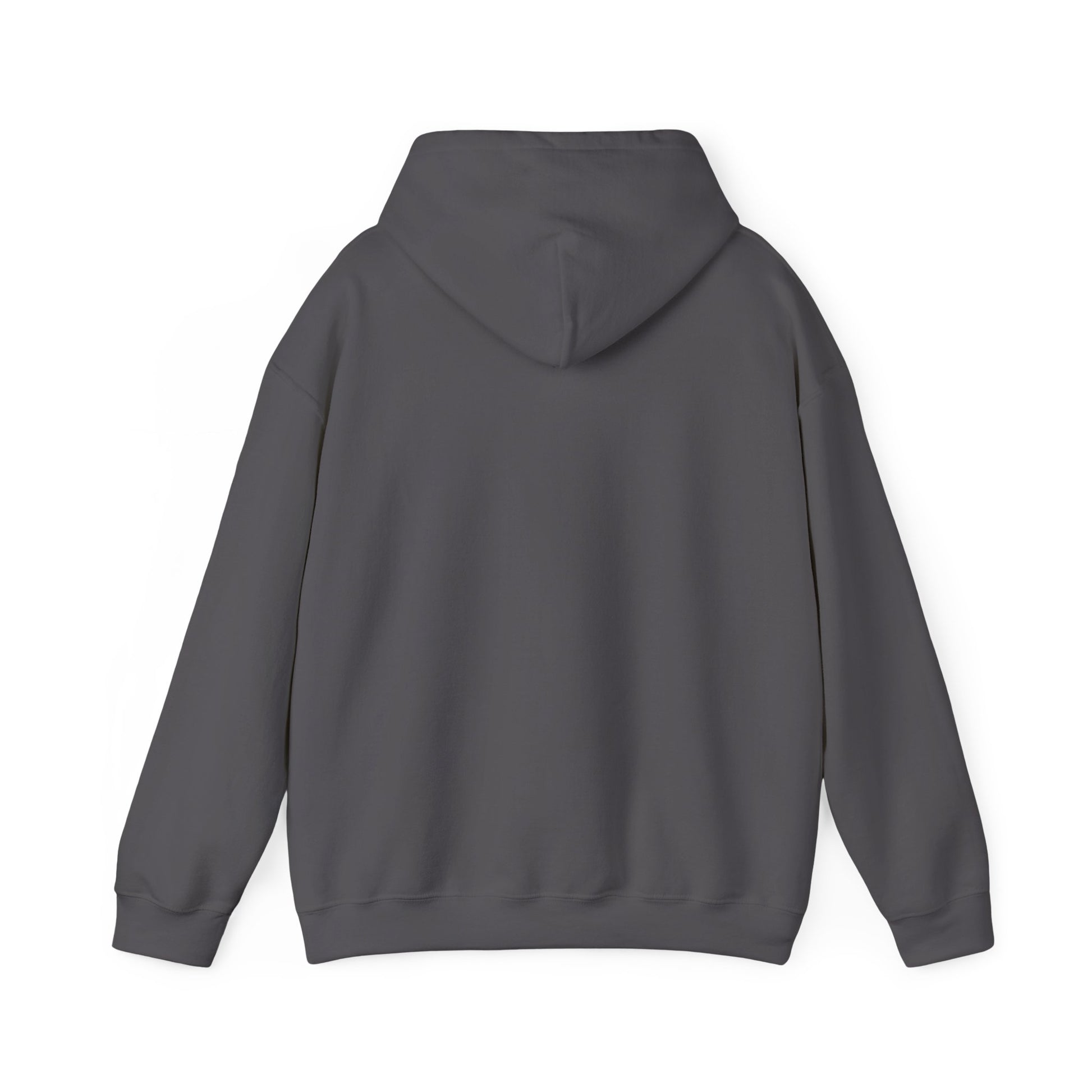 Hoodie I Have Anxiety Hoodie – Funny Opossum Hoodie for Women