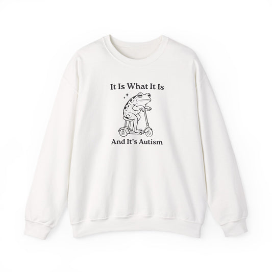 Sweatshirt It Is What It Is And It’s Autism Funny Sweatshirt for Adults & Teens