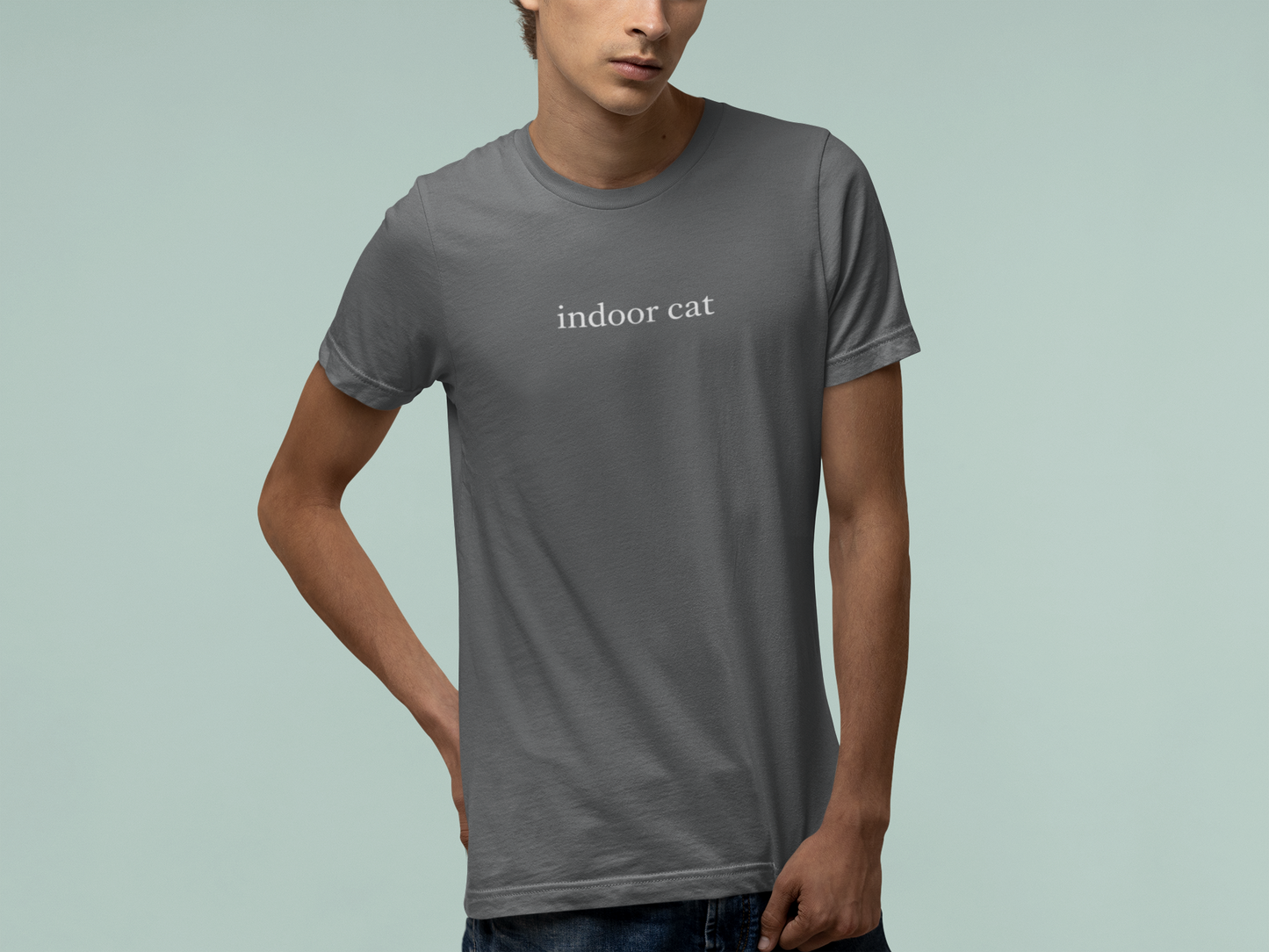 T-Shirt indoor cat Shirt – Funny Introvert Minimalist Cat Lover T-Shirt