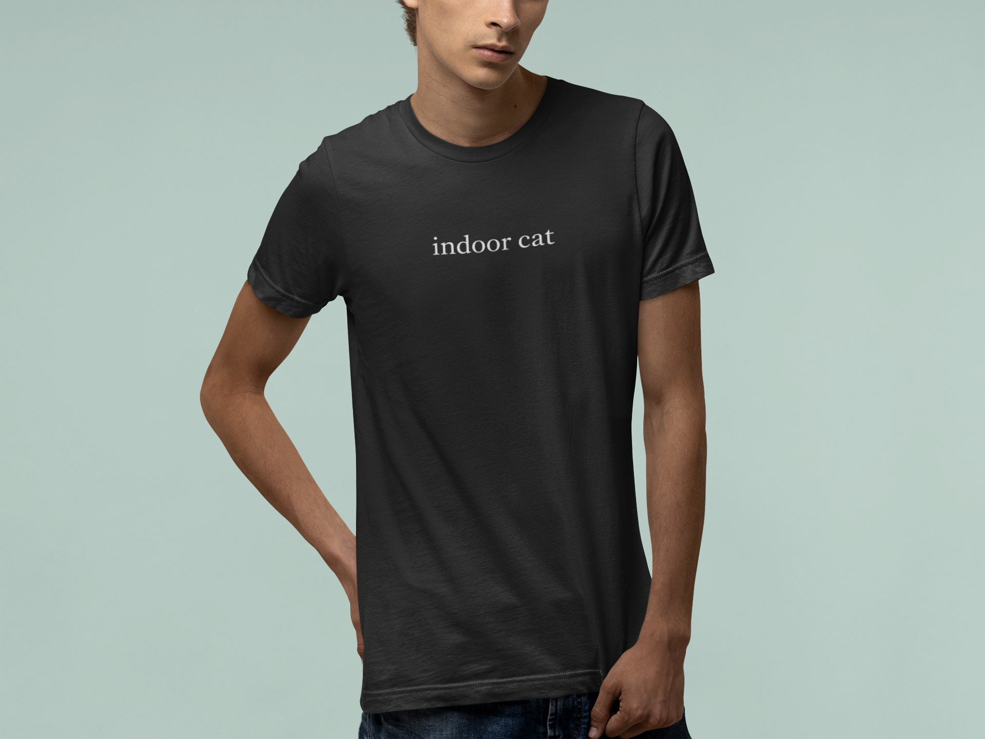 T-Shirt indoor cat Shirt – Funny Introvert Minimalist Cat Lover T-Shirt