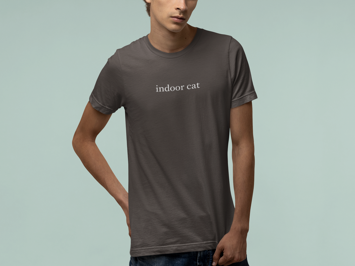 T-Shirt indoor cat Shirt – Funny Introvert Minimalist Cat Lover T-Shirt