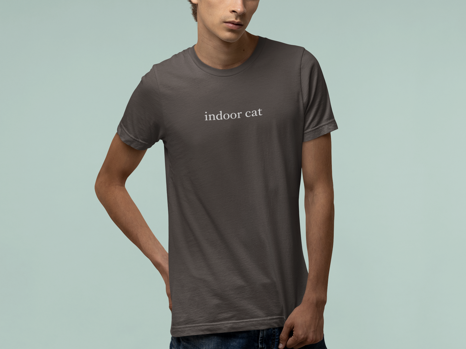 T-Shirt indoor cat Shirt – Funny Introvert Minimalist Cat Lover T-Shirt