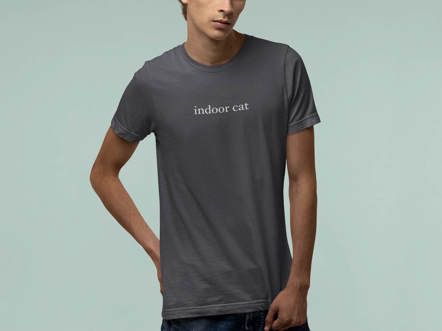 T-Shirt indoor cat Shirt – Funny Introvert Minimalist Cat Lover T-Shirt