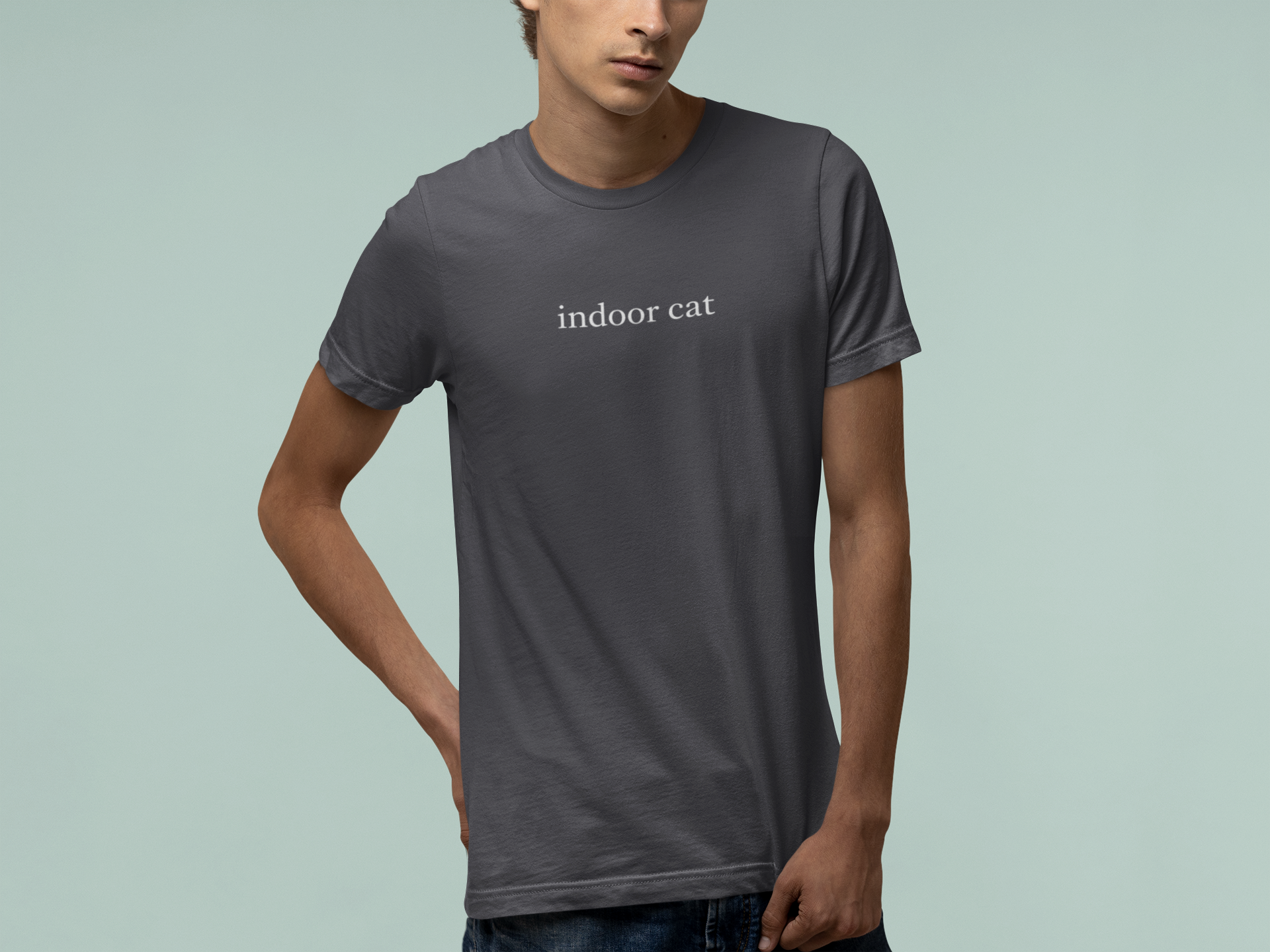 T-Shirt indoor cat Shirt – Funny Introvert Minimalist Cat Lover T-Shirt