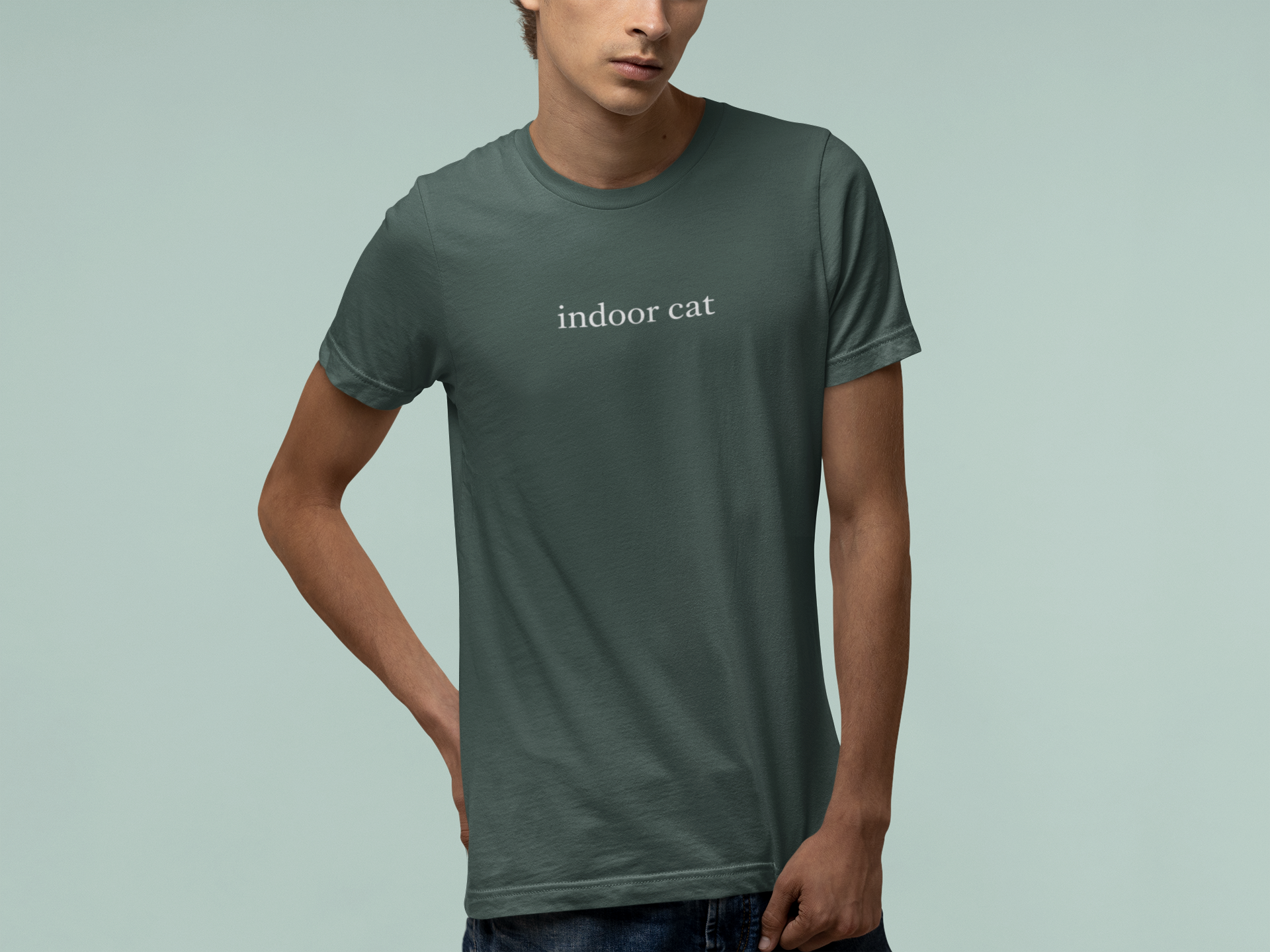 T-Shirt indoor cat Shirt – Funny Introvert Minimalist Cat Lover T-Shirt