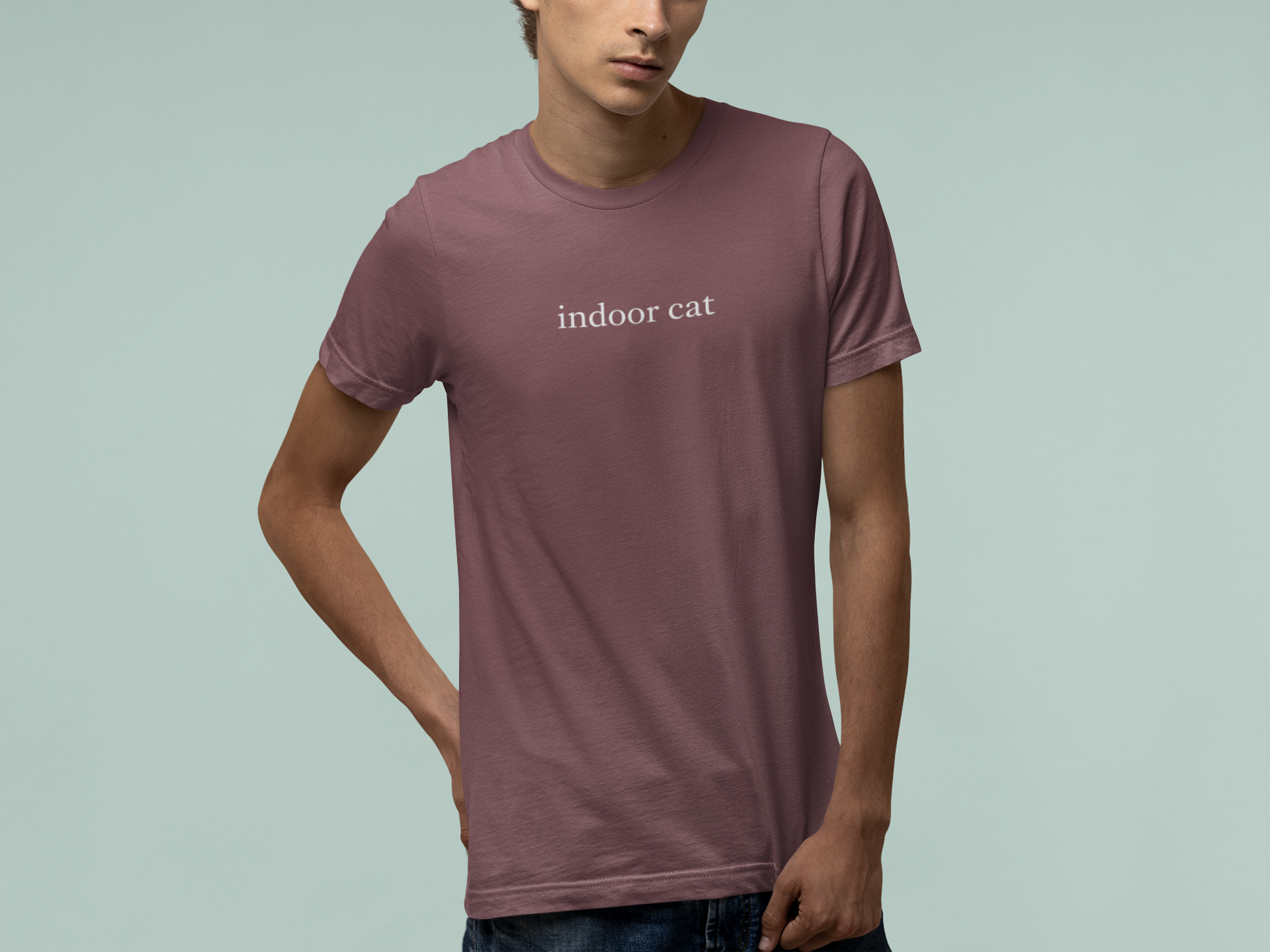 T-Shirt indoor cat Shirt – Funny Introvert Minimalist Cat Lover T-Shirt