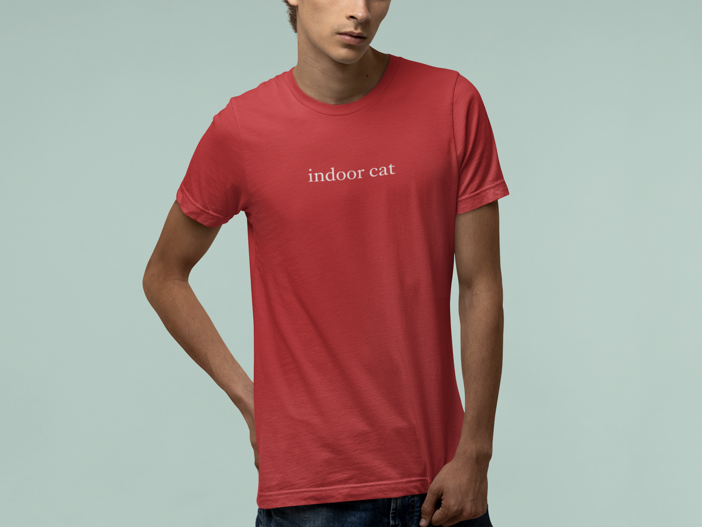 T-Shirt indoor cat Shirt – Funny Introvert Minimalist Cat Lover T-Shirt
