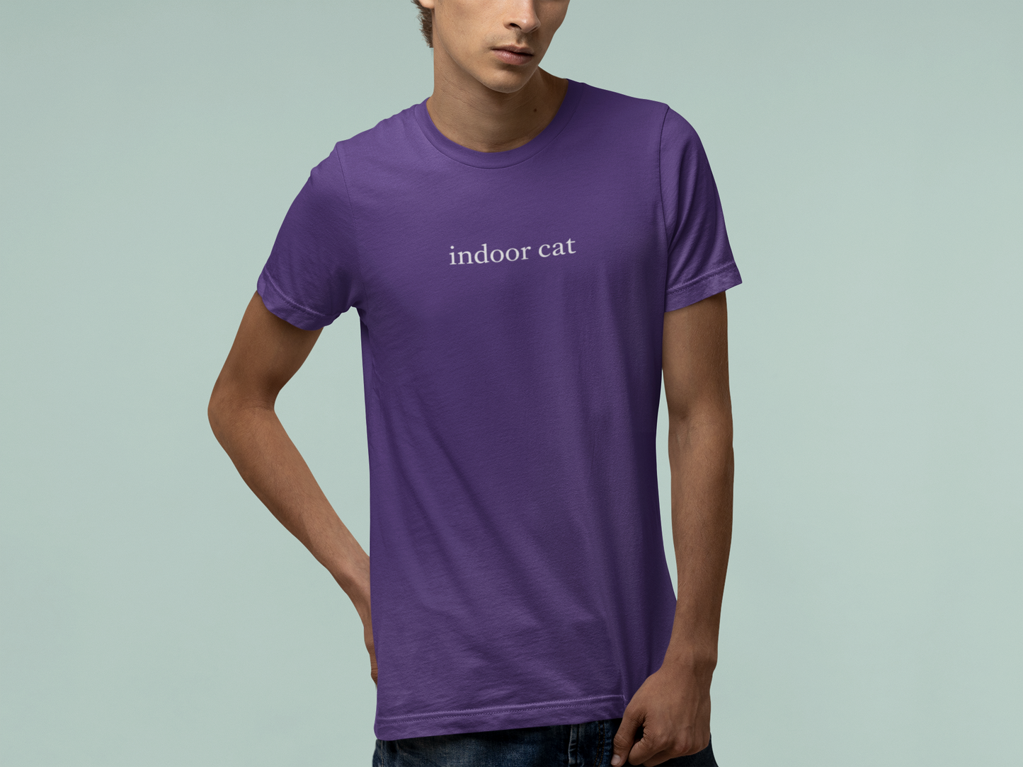 T-Shirt indoor cat Shirt – Funny Introvert Minimalist Cat Lover T-Shirt
