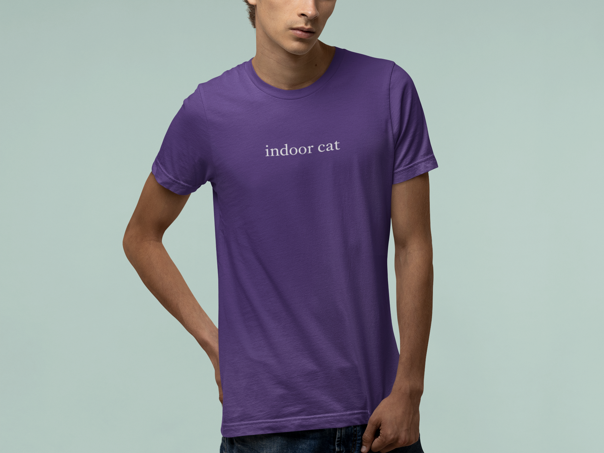 T-Shirt indoor cat Shirt – Funny Introvert Minimalist Cat Lover T-Shirt