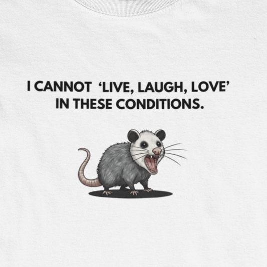 I Cannot Live Laugh Love In These Conditions - Anti Inspirational Shirt Funny